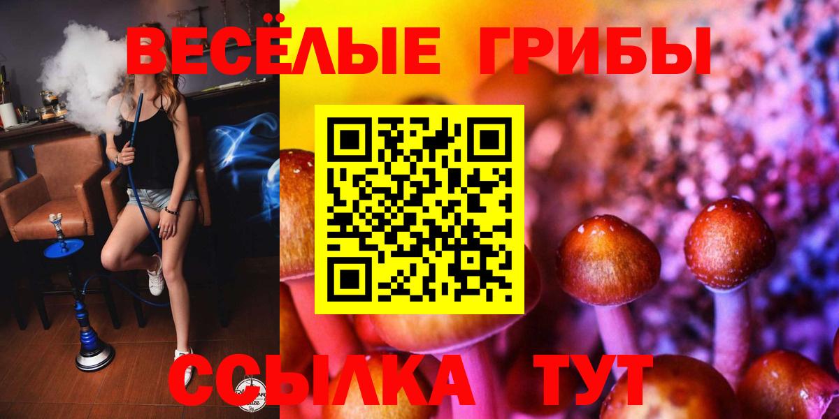 Галлюциногенные грибы Psilocybe  Вход с VPN  Сосновый Бор 